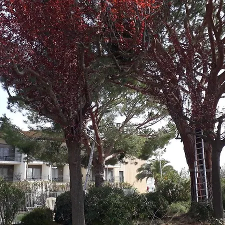 Apartment Zen Garden Beach, Marinland-parc, Swimming Pool, Fibre Optique Antibes